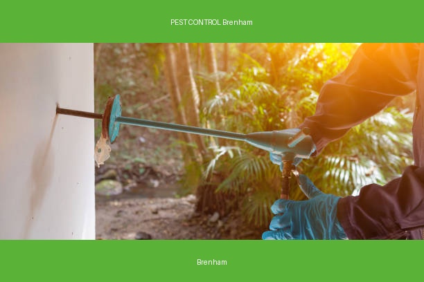 PEST CONTROL Brenham